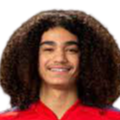 https://img.hbsmtzf.com/img/football/player/87359ed9061cfd73513d827263deebcd.png