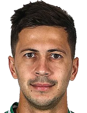 https://img.hbsmtzf.com/img/football/player/a7521cae3d55835286cc258209d1ffee.png