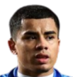 https://img.hbsmtzf.com/img/football/player/bd7833ad28a23f00751787d125266400.png