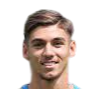 https://img.hbsmtzf.com/img/football/player/eba8dca9c8005963937805224ccc7233.png