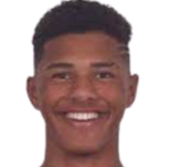 https://img.hbsmtzf.com/img/football/player/f3f41f05f30584f5388c05fe46fa3afe.png