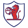 https://img.hbsmtzf.com/img/football/team/11fb72f7b5eacfc881ee11bac75871fa.png