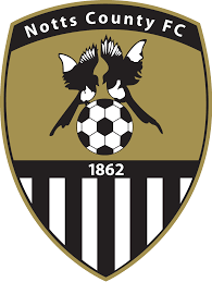 https://img.hbsmtzf.com/img/football/team/9e230c89a846b9cadf91884918fa7611.png